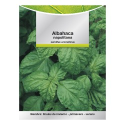 Semillas Aromáticas Albahaca Gigante (5 gramos) Horticultura, Horticola, Semillas Huerto.